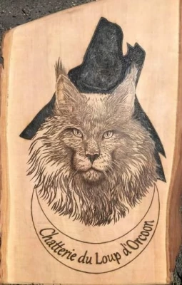 Chatterie du Loup d'Orcoon